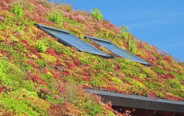 Chilson Common living roof systems