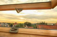 rated Chilson Common roof window companies